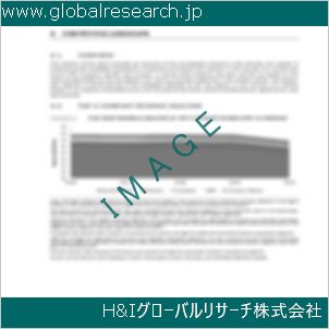 グローバルリサーチ調査資料のイメージ